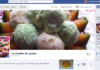 Le ricette di SoleLuna – Nuova pagina Facebook e Twitter – New Facebook page or Twitter