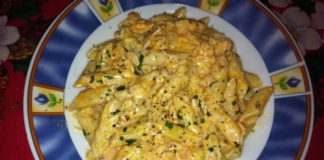 SPECIALE NATALE : Le ricette di SoleLuna – Pennette al salmone